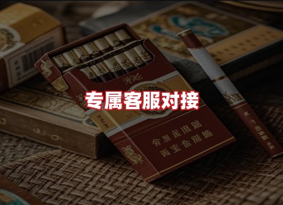 专业团队
